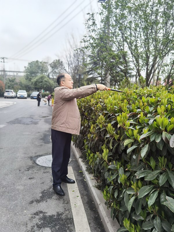 【辉隆置业】党支部植树节党日活动