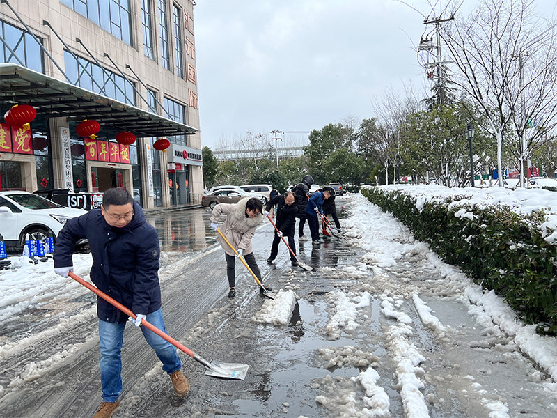 党日活动——凝心聚力战风雪